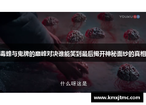毒蜂与鬼牌的巅峰对决谁能笑到最后揭开神秘面纱的真相